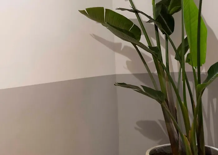 Thomas Price Ναρμπόν